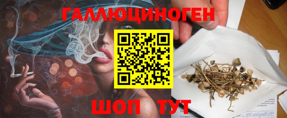 Галлюциногенные грибы Psilocybine cubensis  Галлюциногенные грибы Psilocybine cubensis  Волхов  Вход с VPN 
