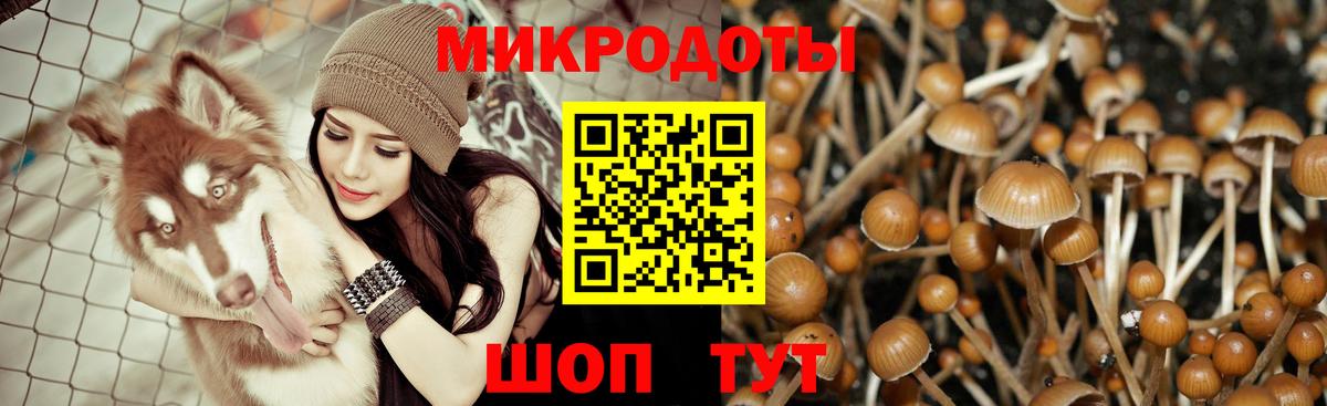 Галлюциногенные грибы Magic Shrooms Волхов